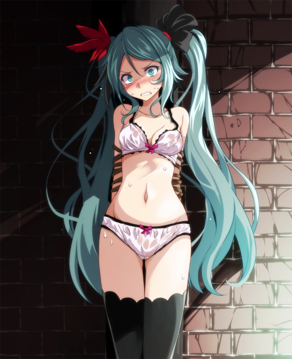 Contracted by Hatsun Miku