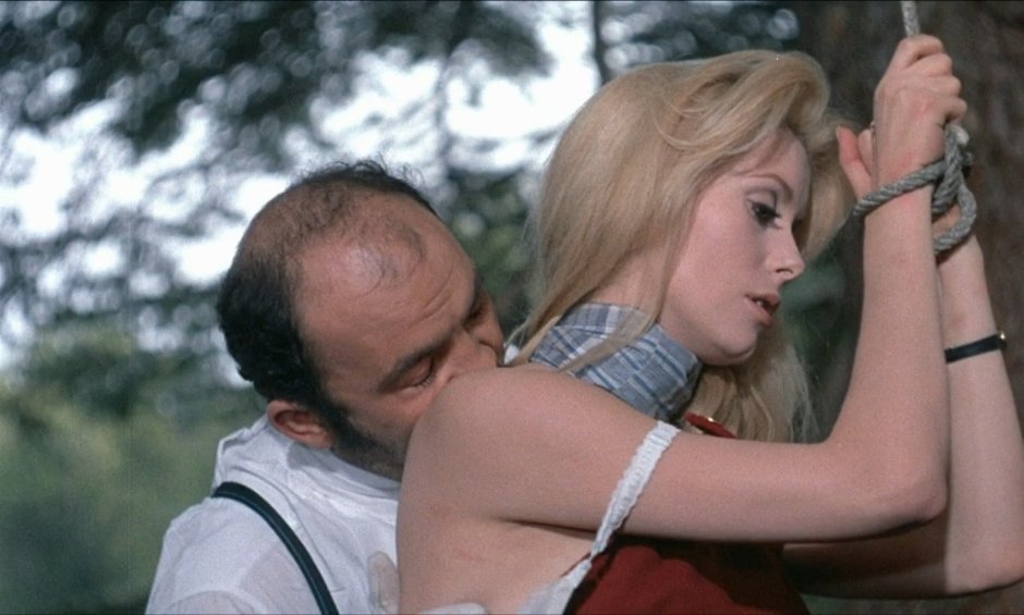 Day beauty Bunuel