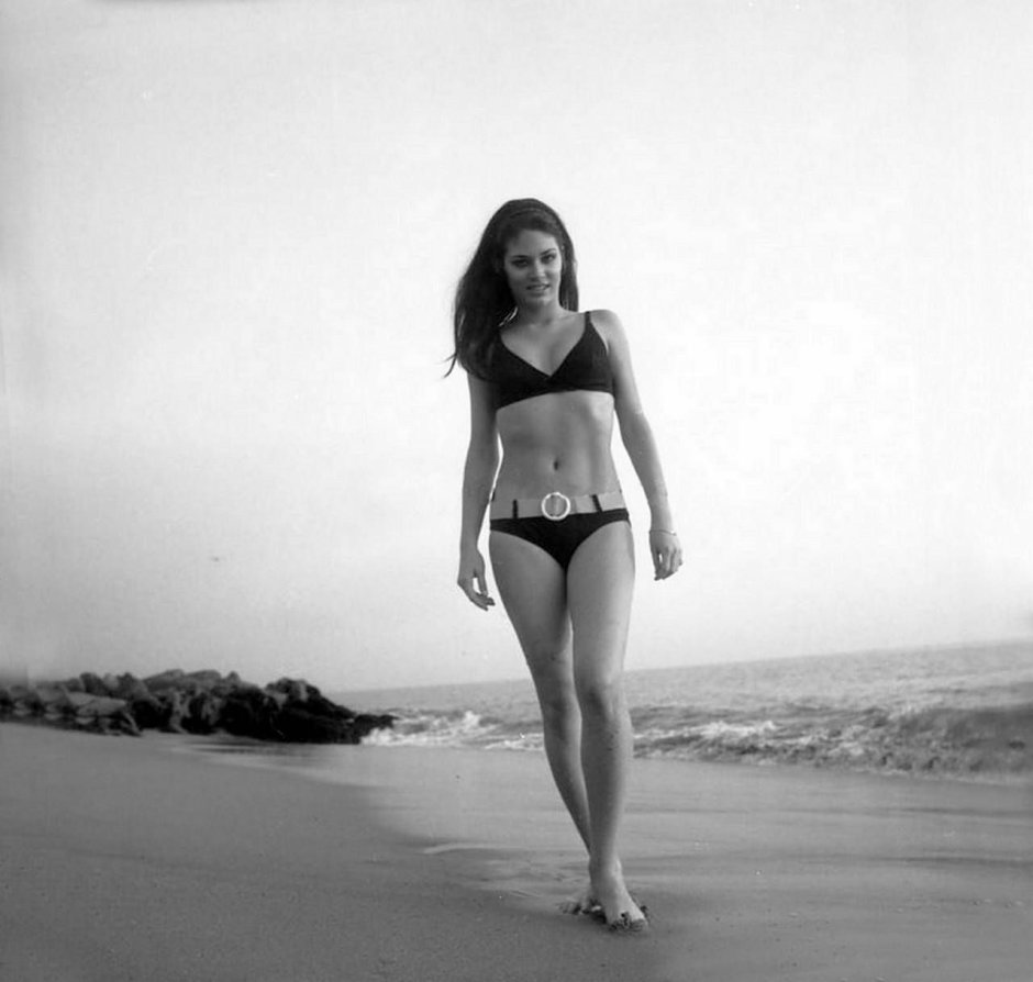 Pamela Reef