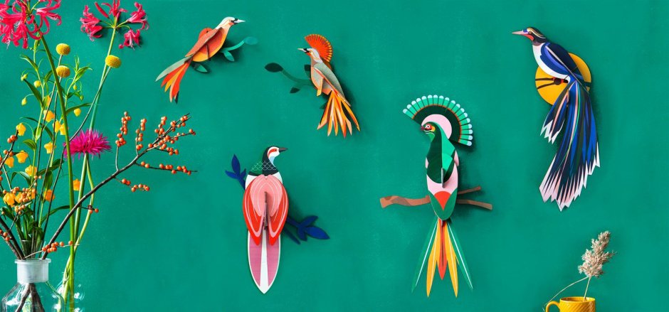 Paradise Birds / Pollyanna