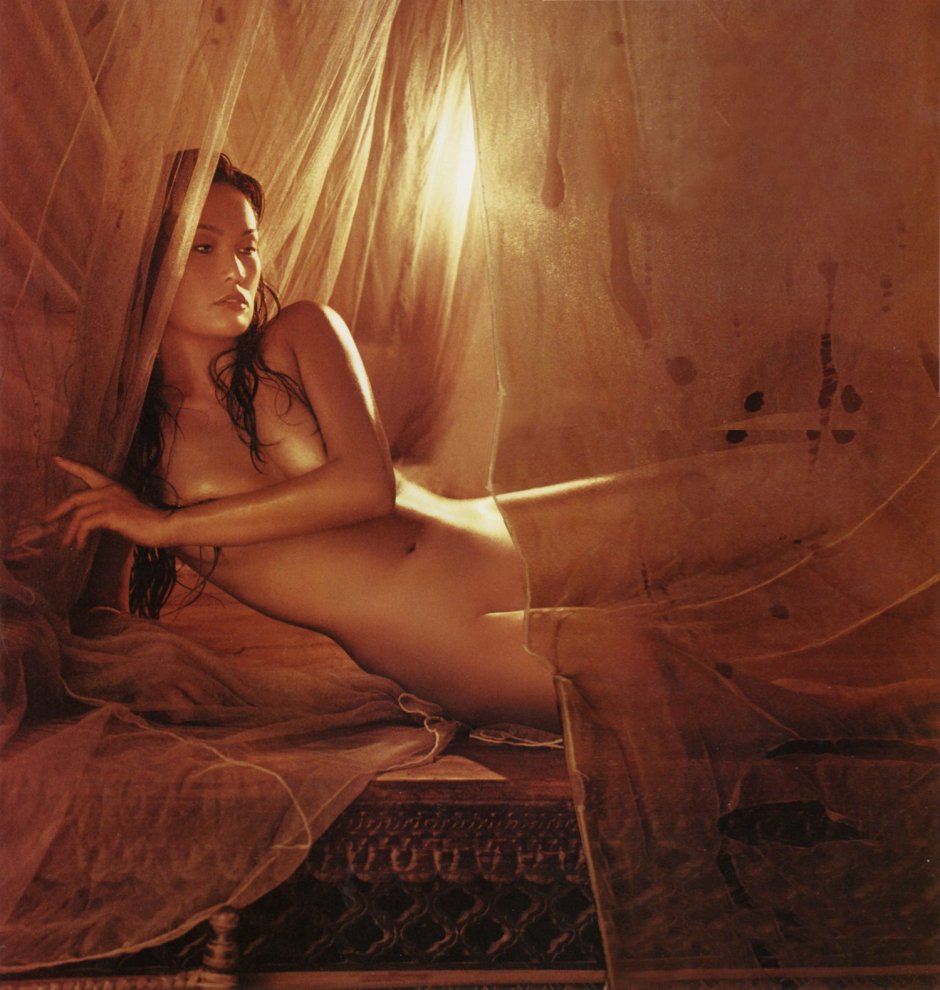 Tia Carrera Playboy
