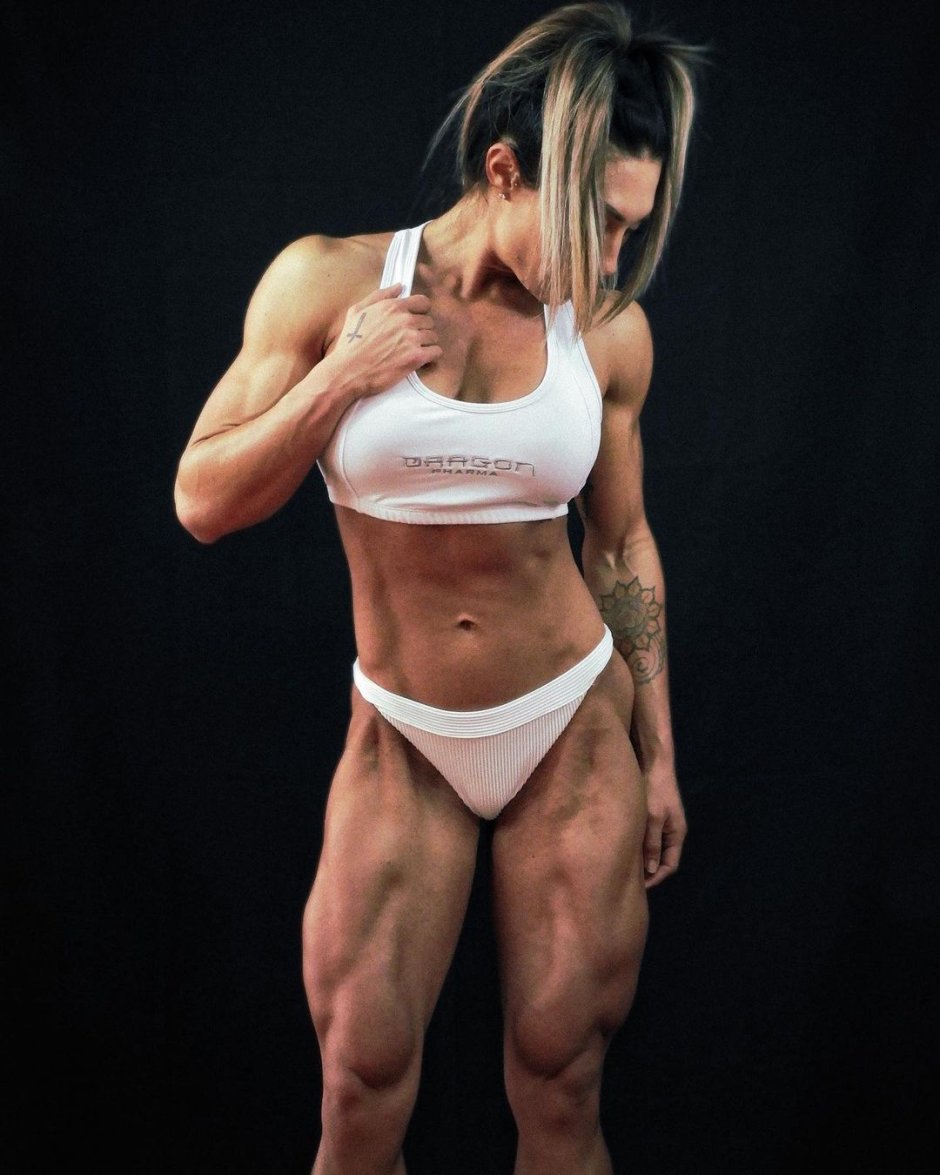 Ashley Wildcat