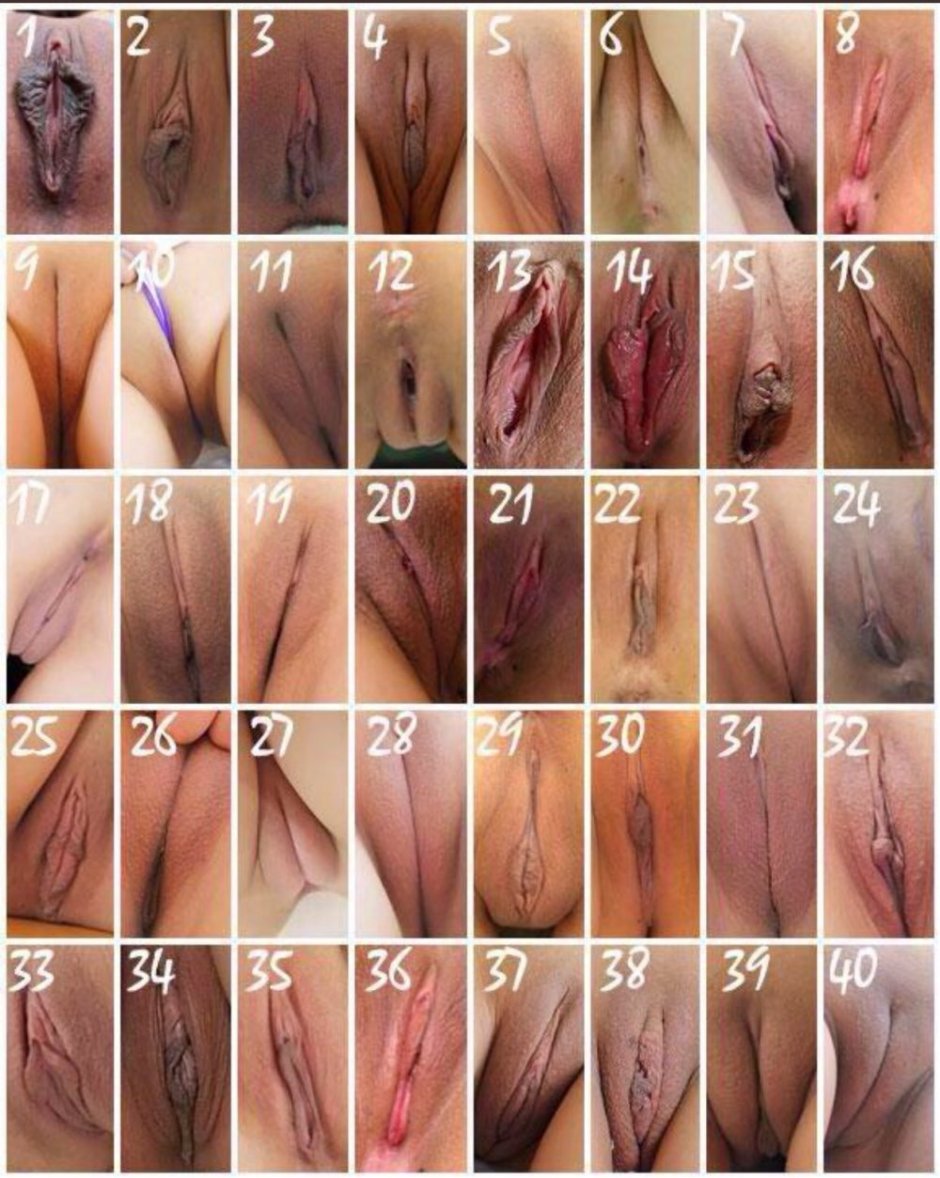 The location of the vagina