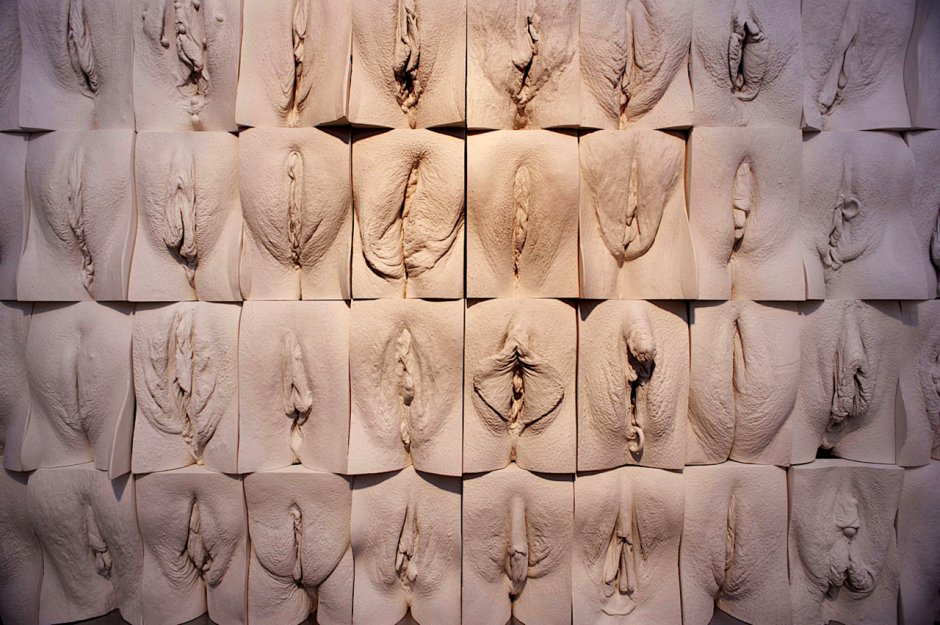 Vagin wall Jamie McCartney