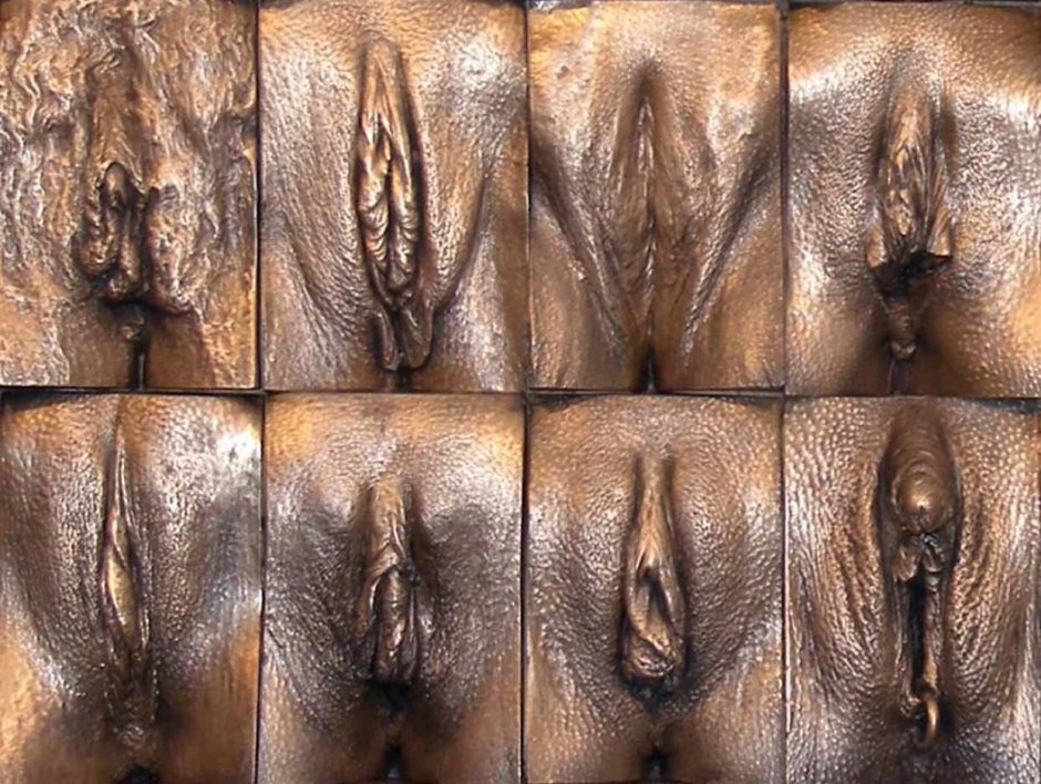 Forms of female vagina