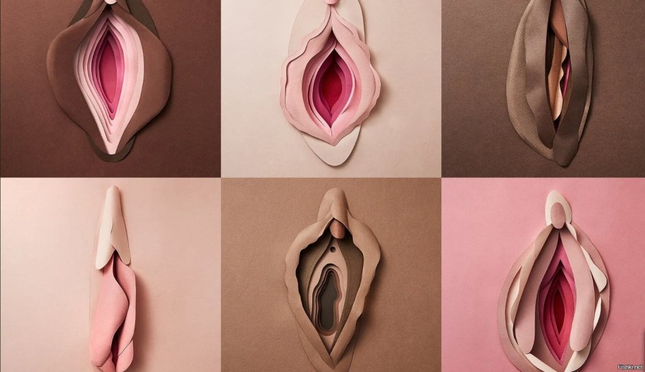 Vagina in an artistic interpretation
