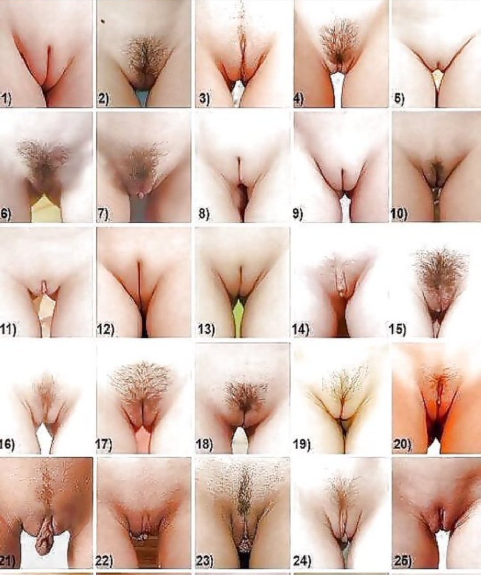 Types of pussies