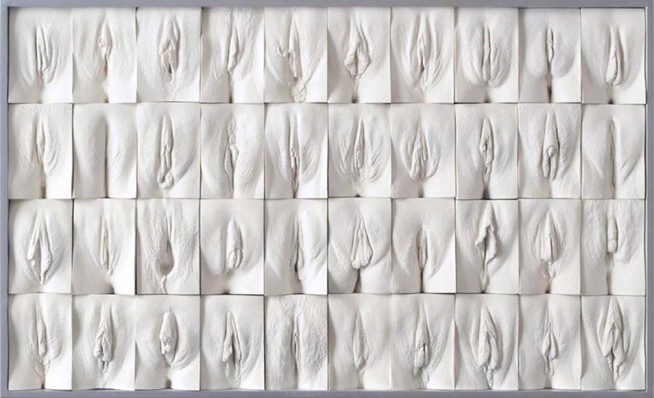 The Great Wall of Vagina Jamie McCartney