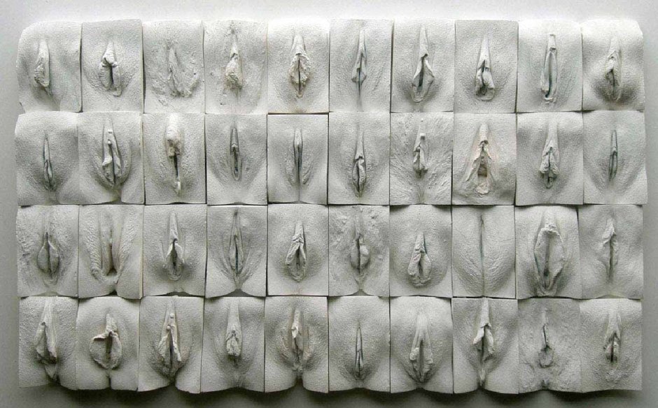 Jamie McCartney "The Great Wall of Vagin"