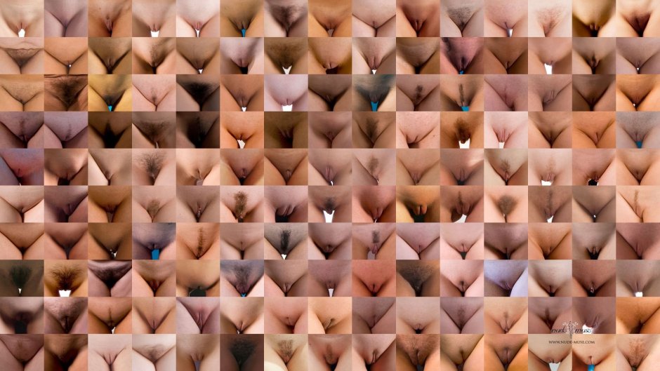 Vagin wall Jamie McCartney