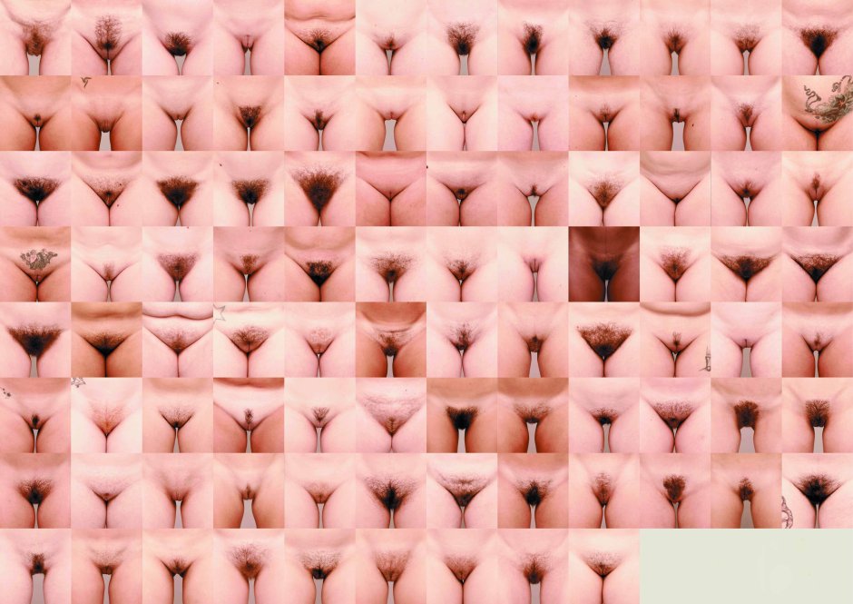 Blinks of vagini Jamie McCartney