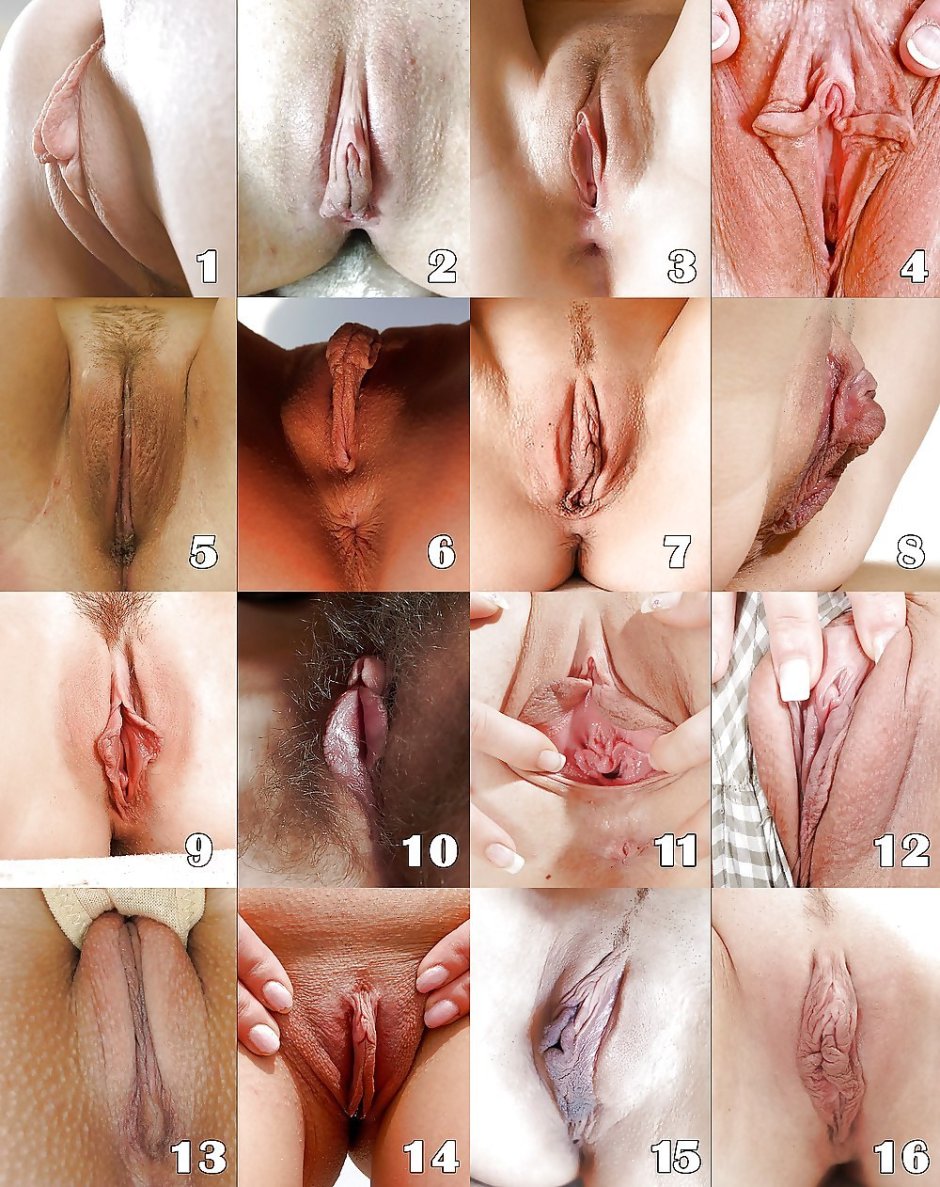 Different female vagina