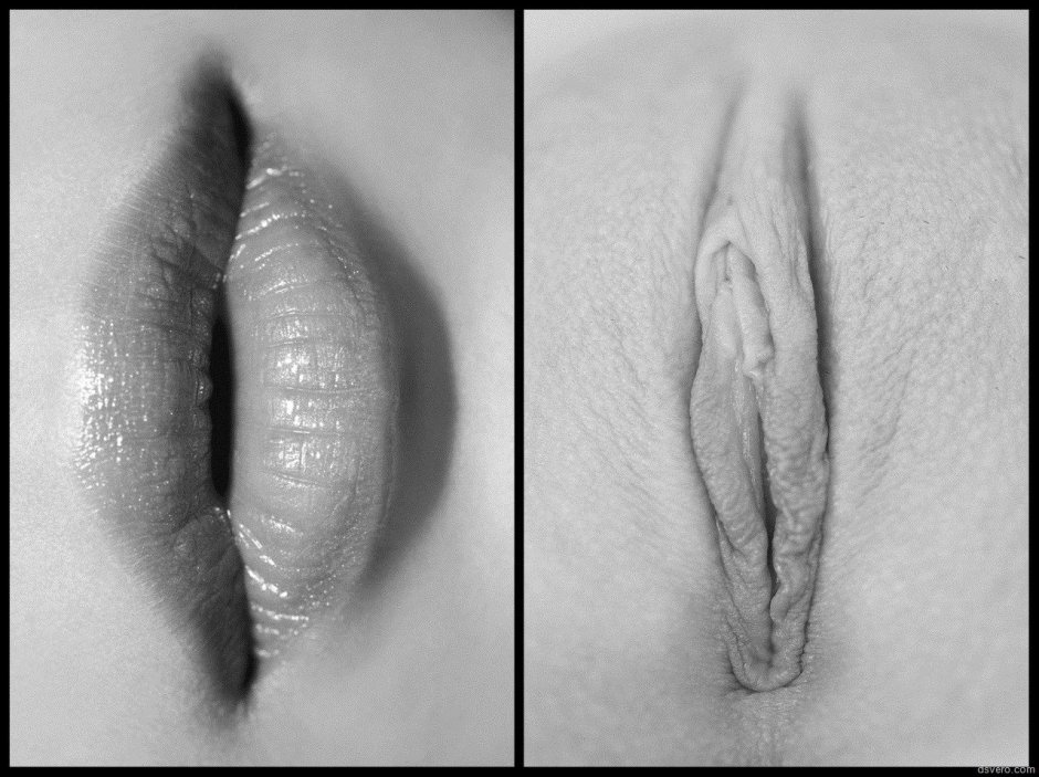 Ideal female genitals