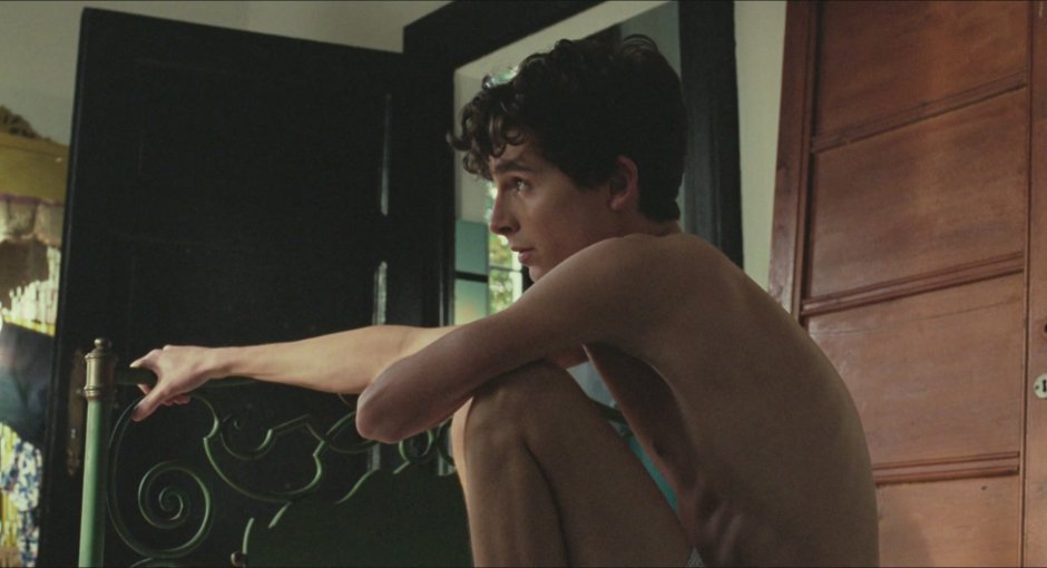 Timothy chalamet torso