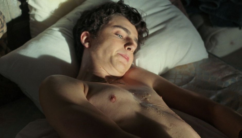 Timothy Shalam is naked