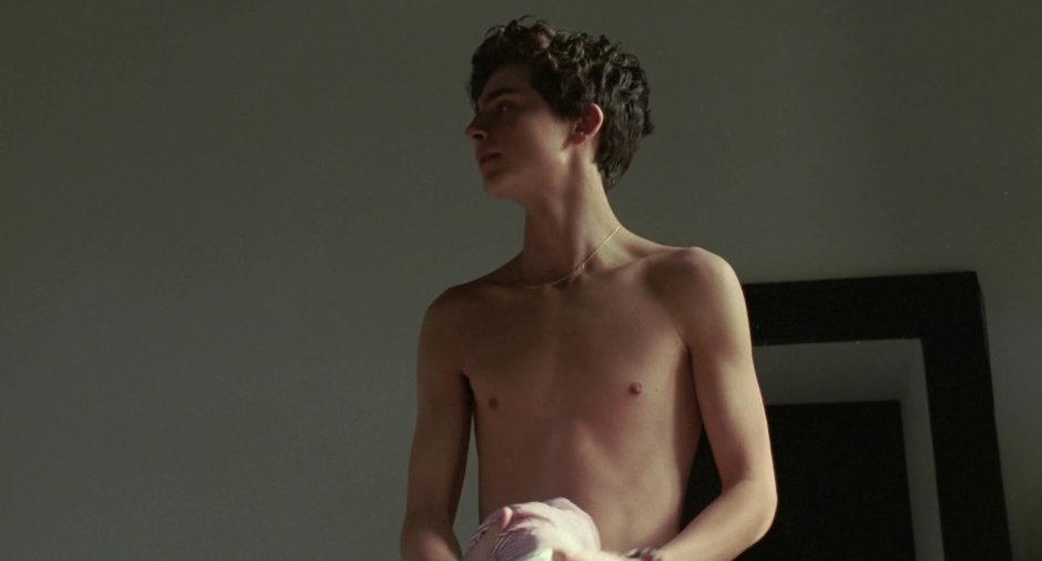 Timothy Shalam is naked