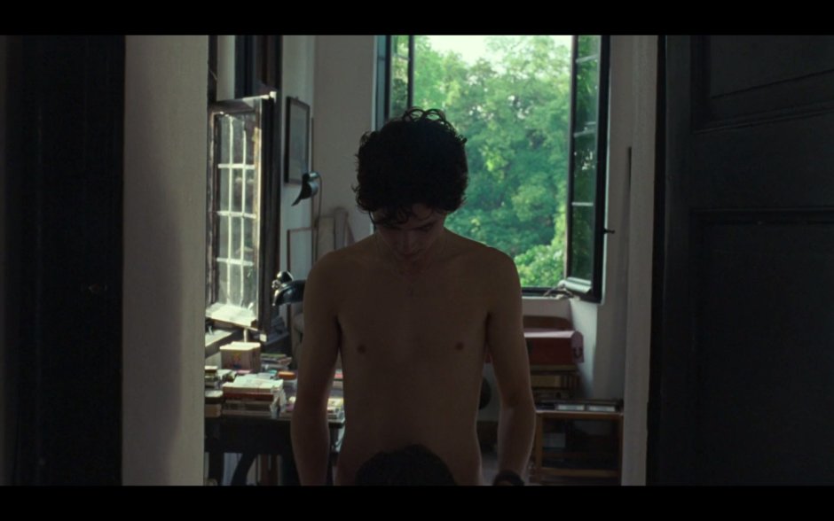 Naked Timothy Shalame member