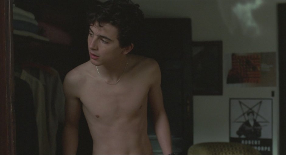 Armie Hammer and Timothée Chalamet Naked