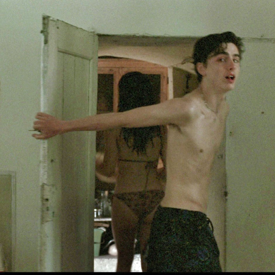Timothy Shalam is naked