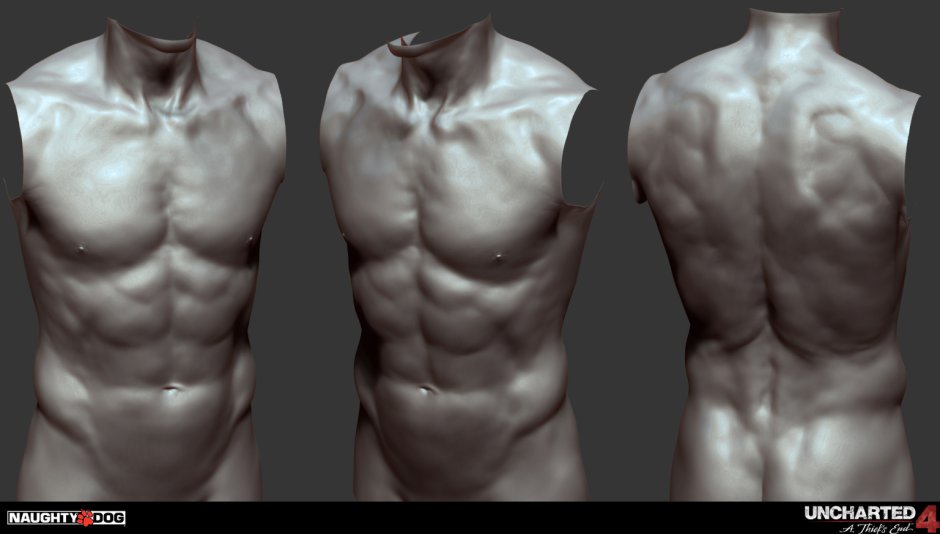Steven Brewis model