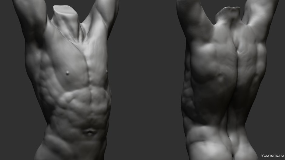 Tors -back reference