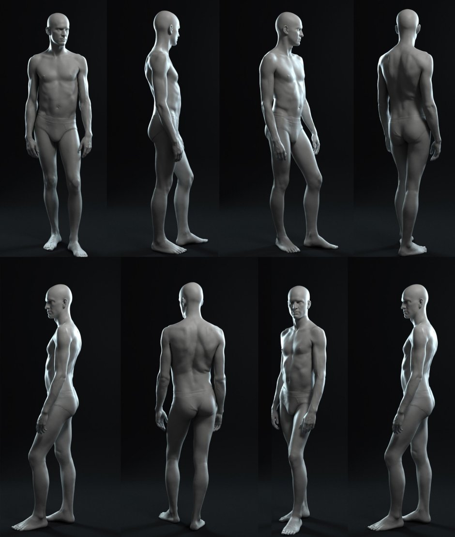 Male body from all sides