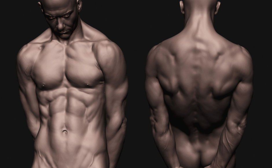Male poses from the back