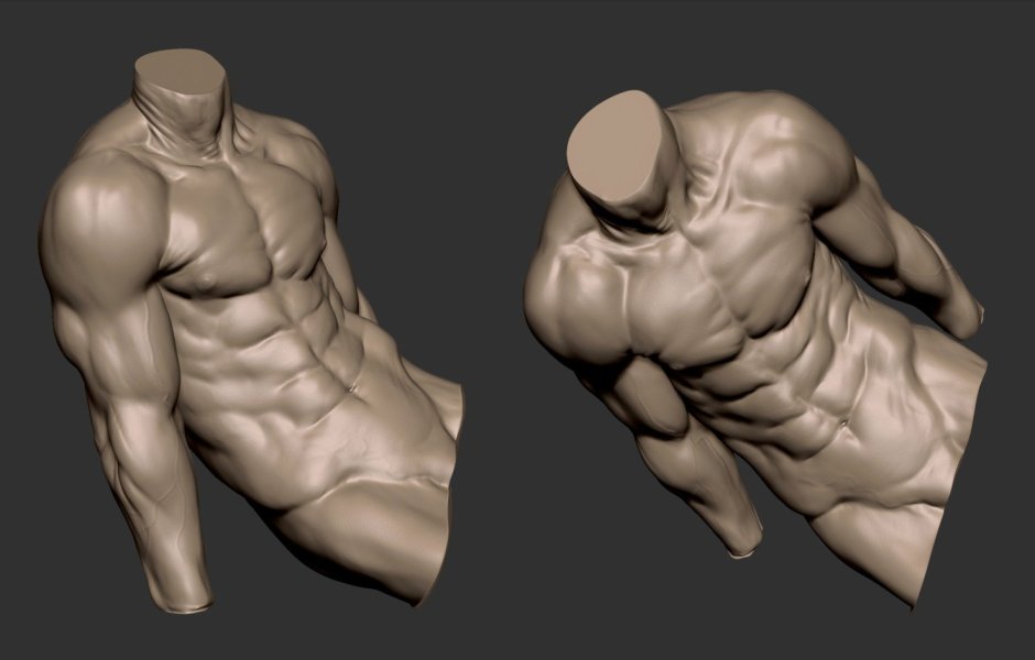 Male torso from different angles