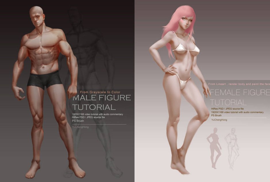 Scott Robinson anatomy for sculptors