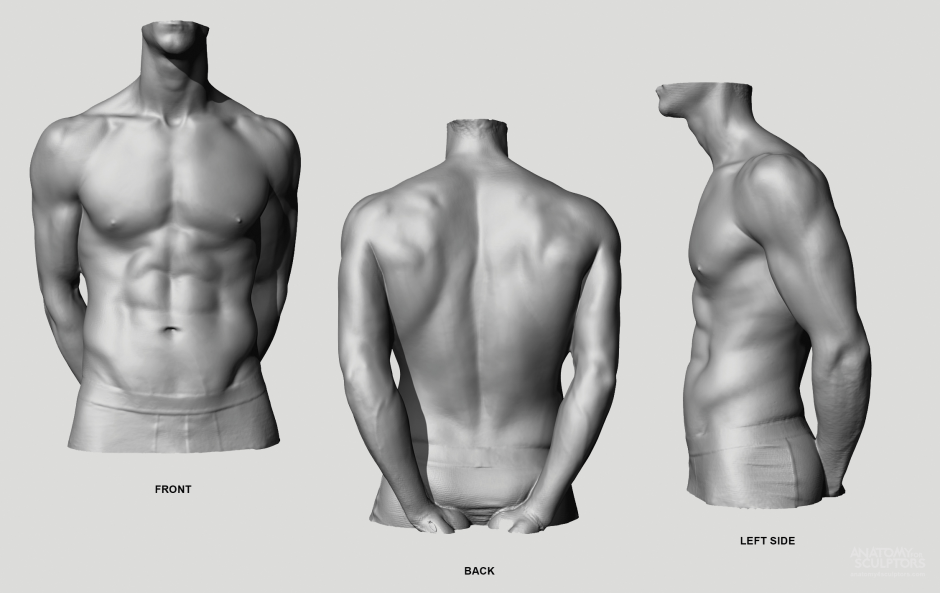 The physique of the guy anime