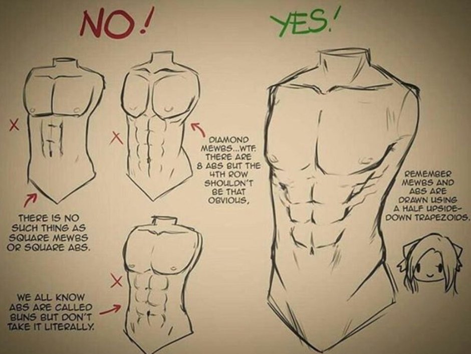 Anatomy reference Pose guy