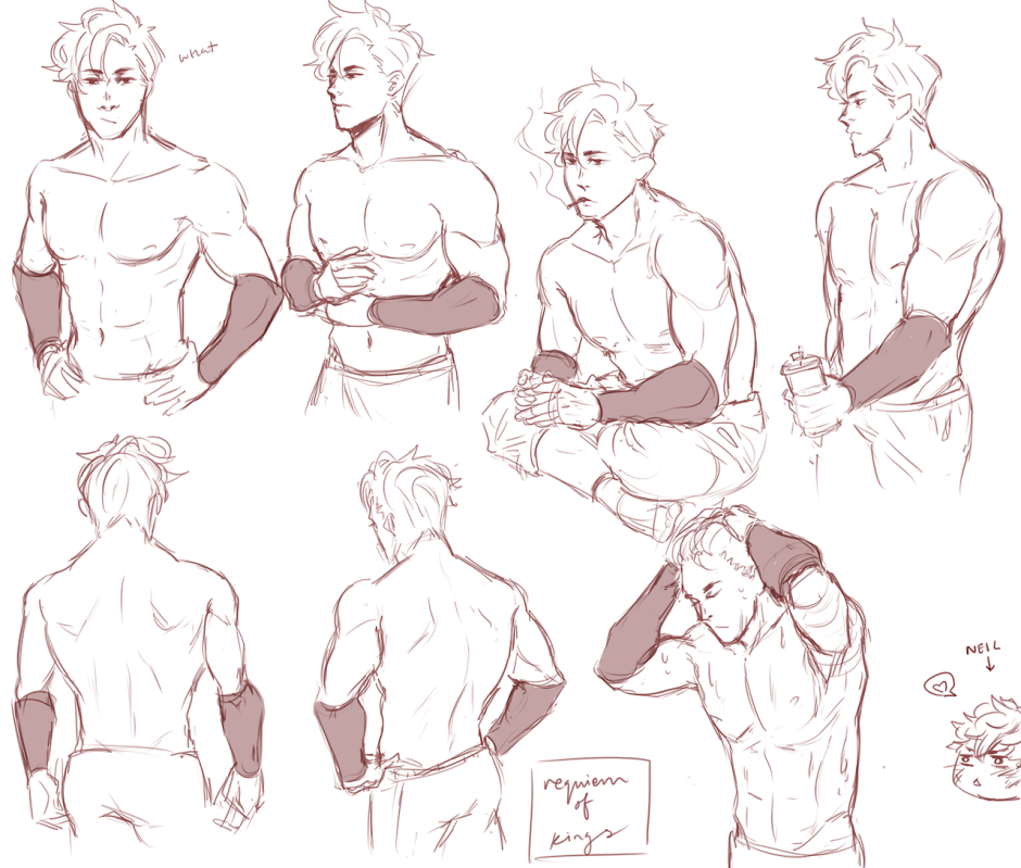 The structure of the male torso