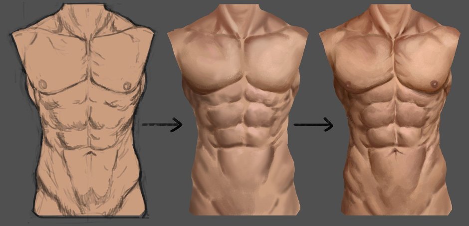 Anatomy of the guy reference