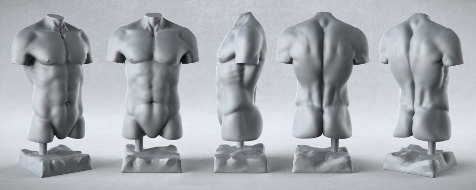 Genshin torsos
