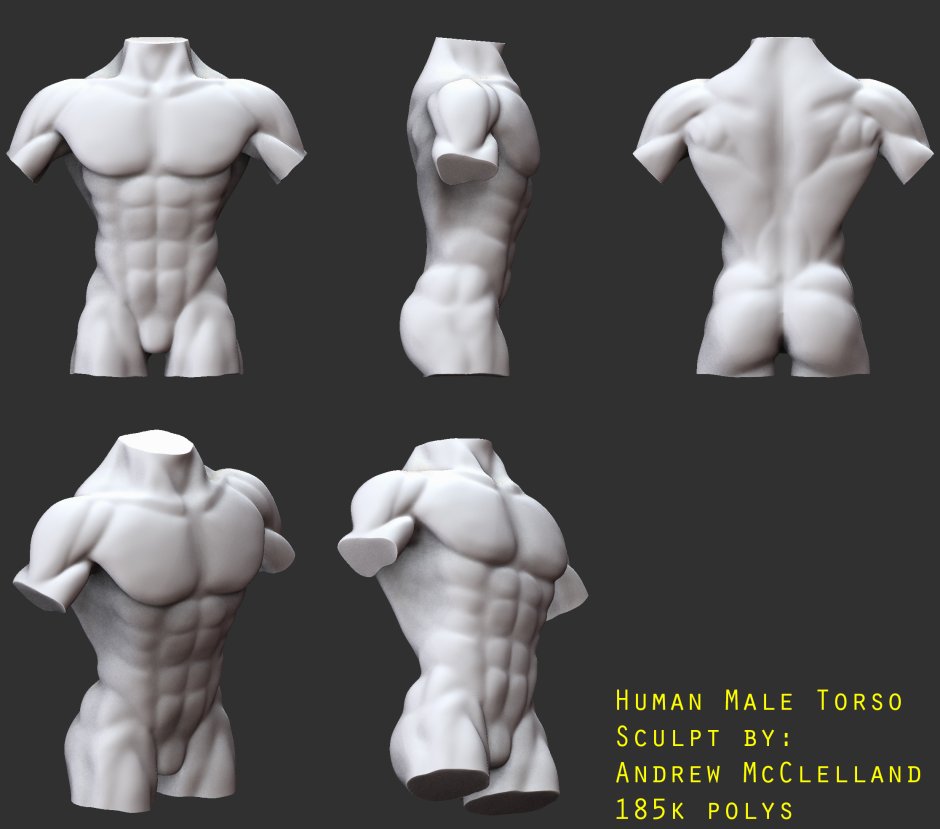 Anatomy Tutorial