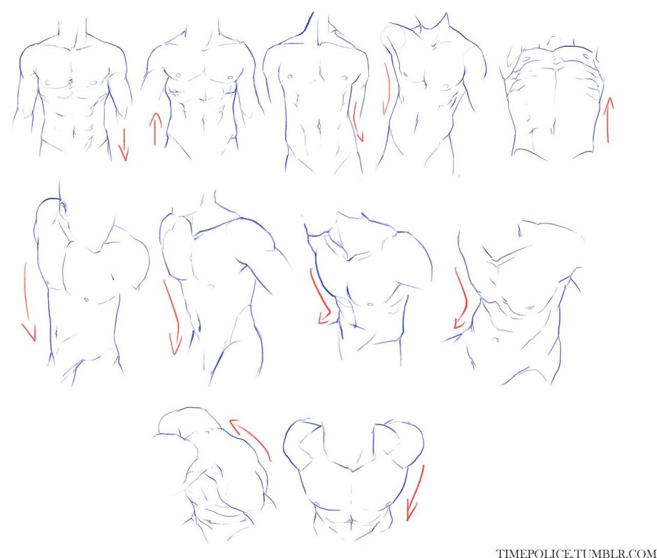 Female figure reference anatomy