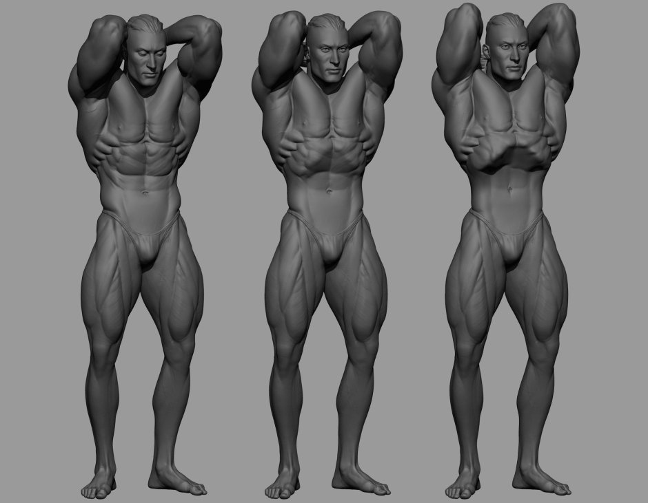 Torson torso