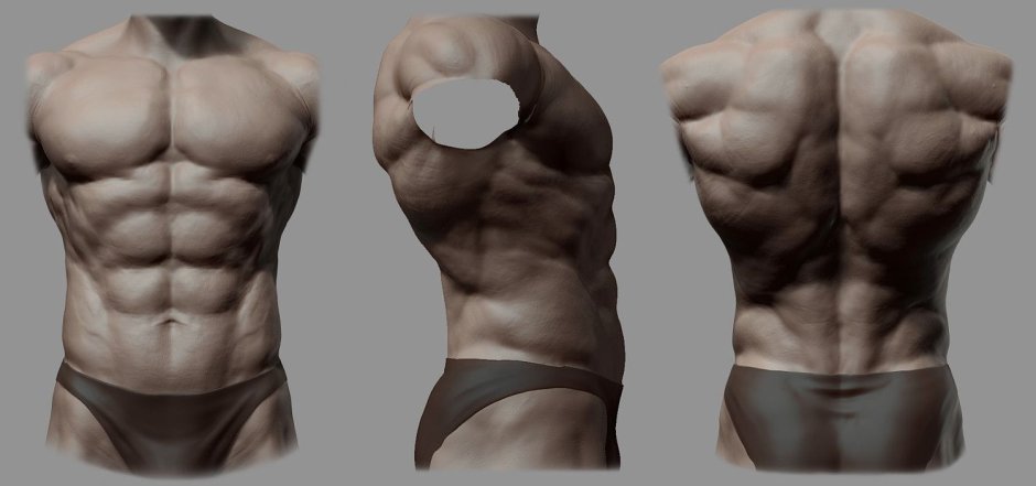 Male torso from different angles