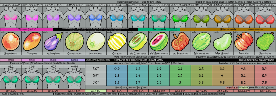 Breast Structure