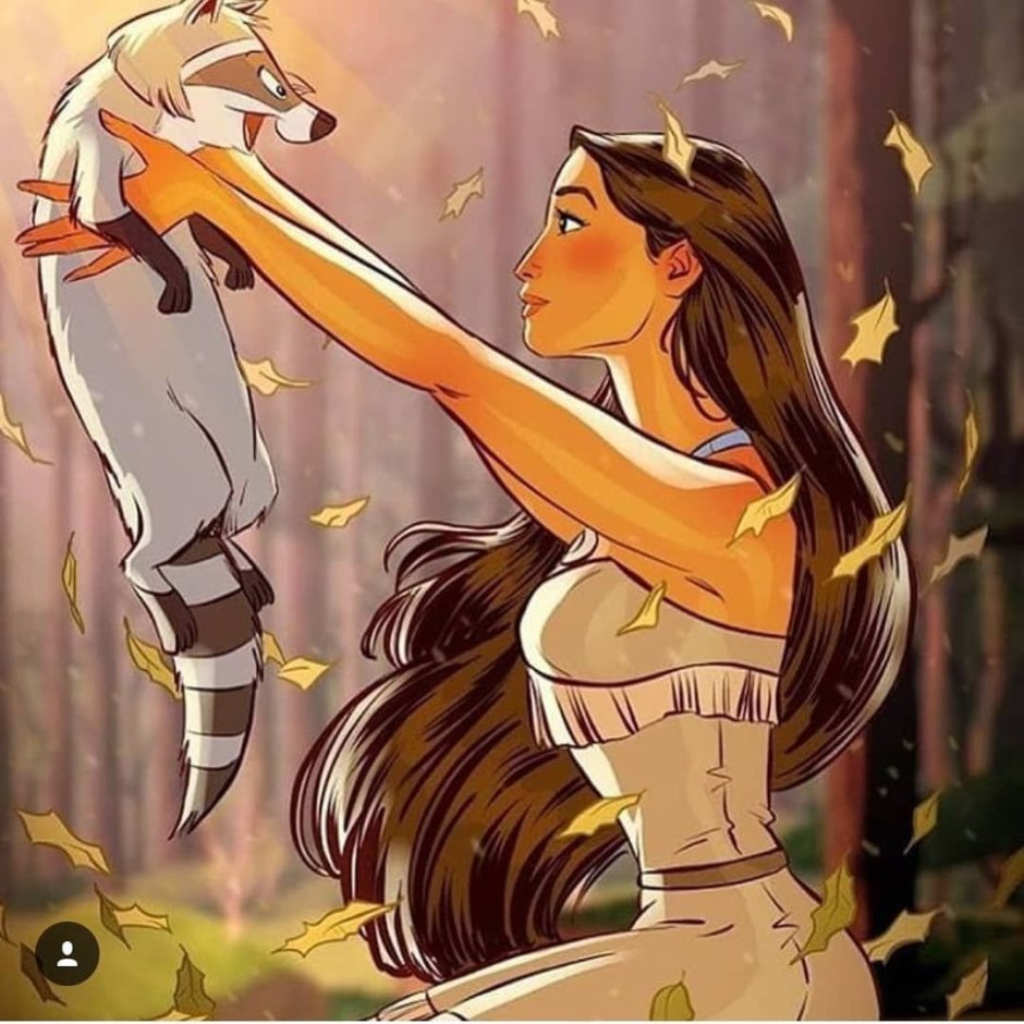 Princesses Disney Art Demakhontas