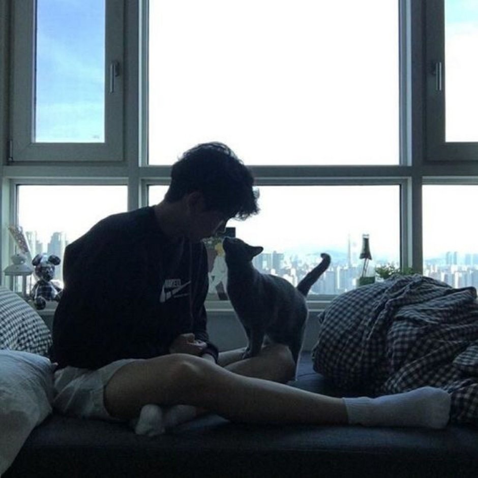 The guy lies aesthetics