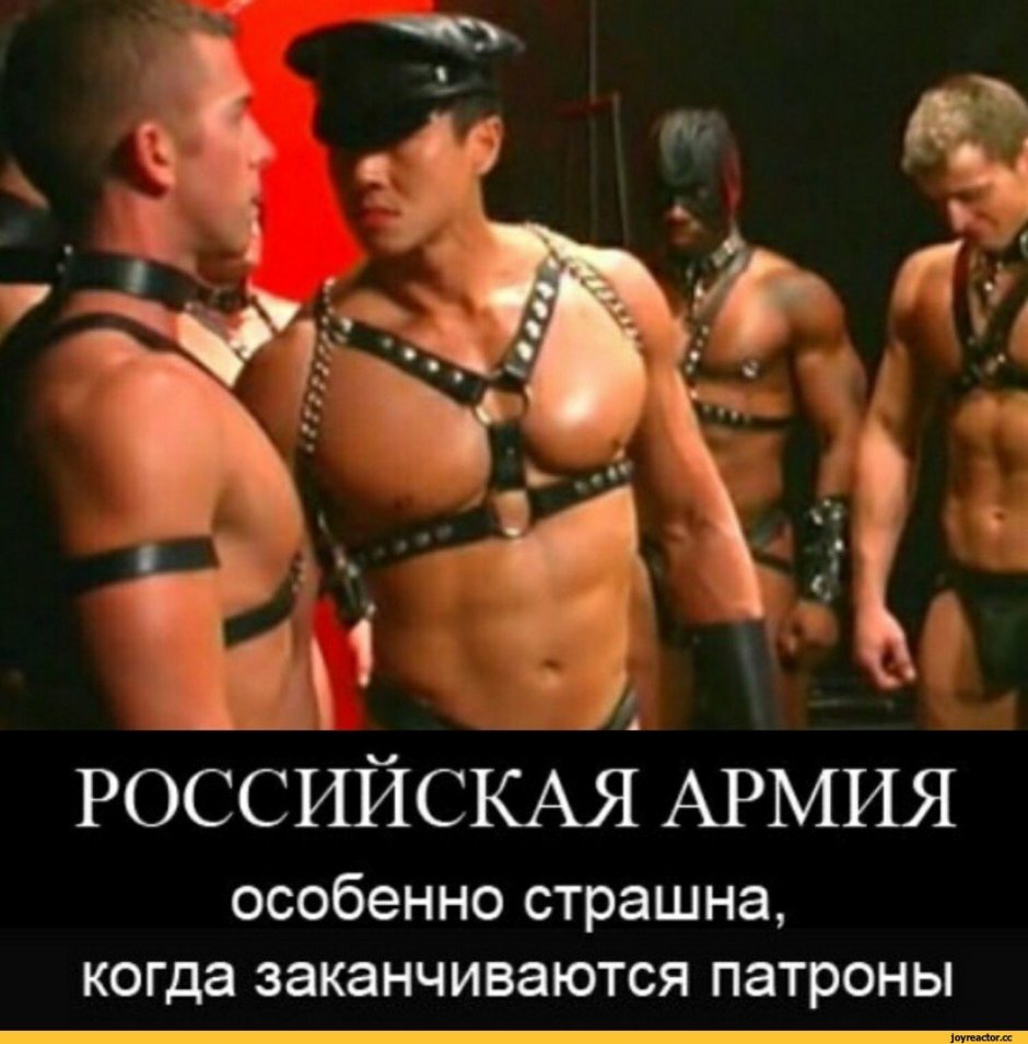 Dungen Master Gachimuchi Billy