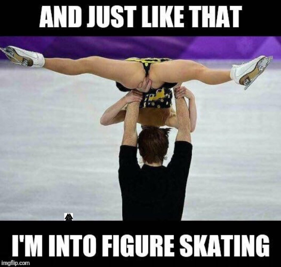 Skaters memes