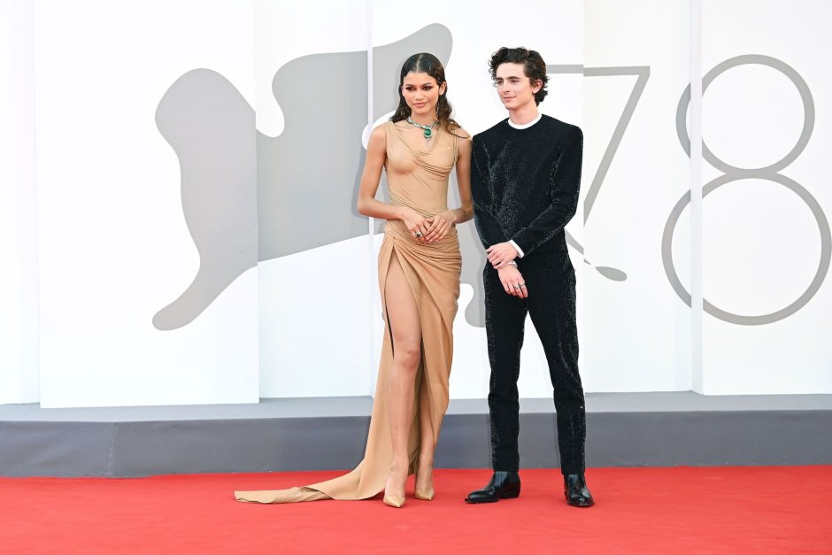 TIMOTHEE CHALAMET torso