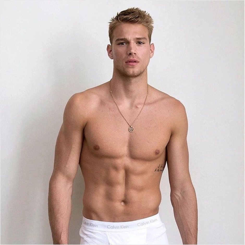 Alex Heg Torsos