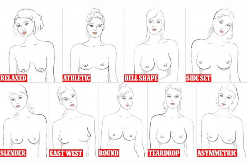 What size do you have boobs