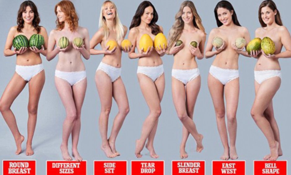 Naked women with different forms of breasts