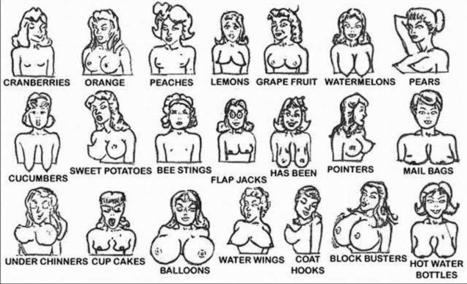 Different figures of naked women