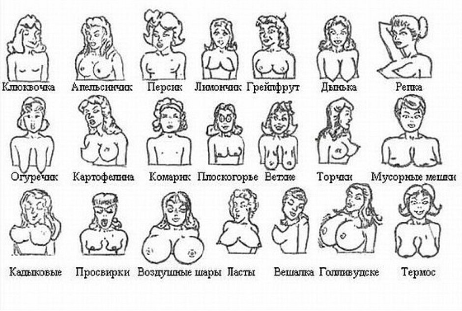 Types of the chest