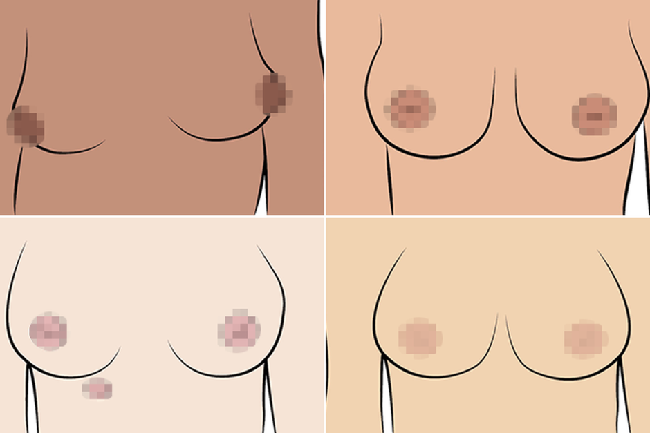 Naked boobs of various shapes